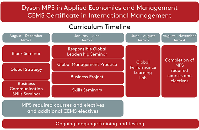 September to December (Term 1): Core Courses and Electives - January to July (Term 2): CEMS Exchange Term - September to November (Term 3): Global Performance Learning Lab